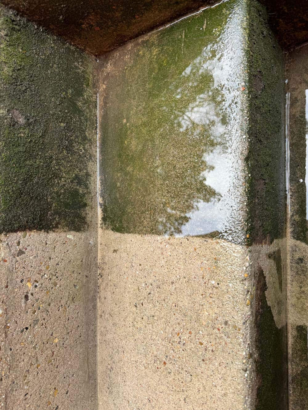 Moosbewachsener Betonecken mit Wasserpfütze, spiegelt Bäume. Natürliches, grünes und graues Farbschema.