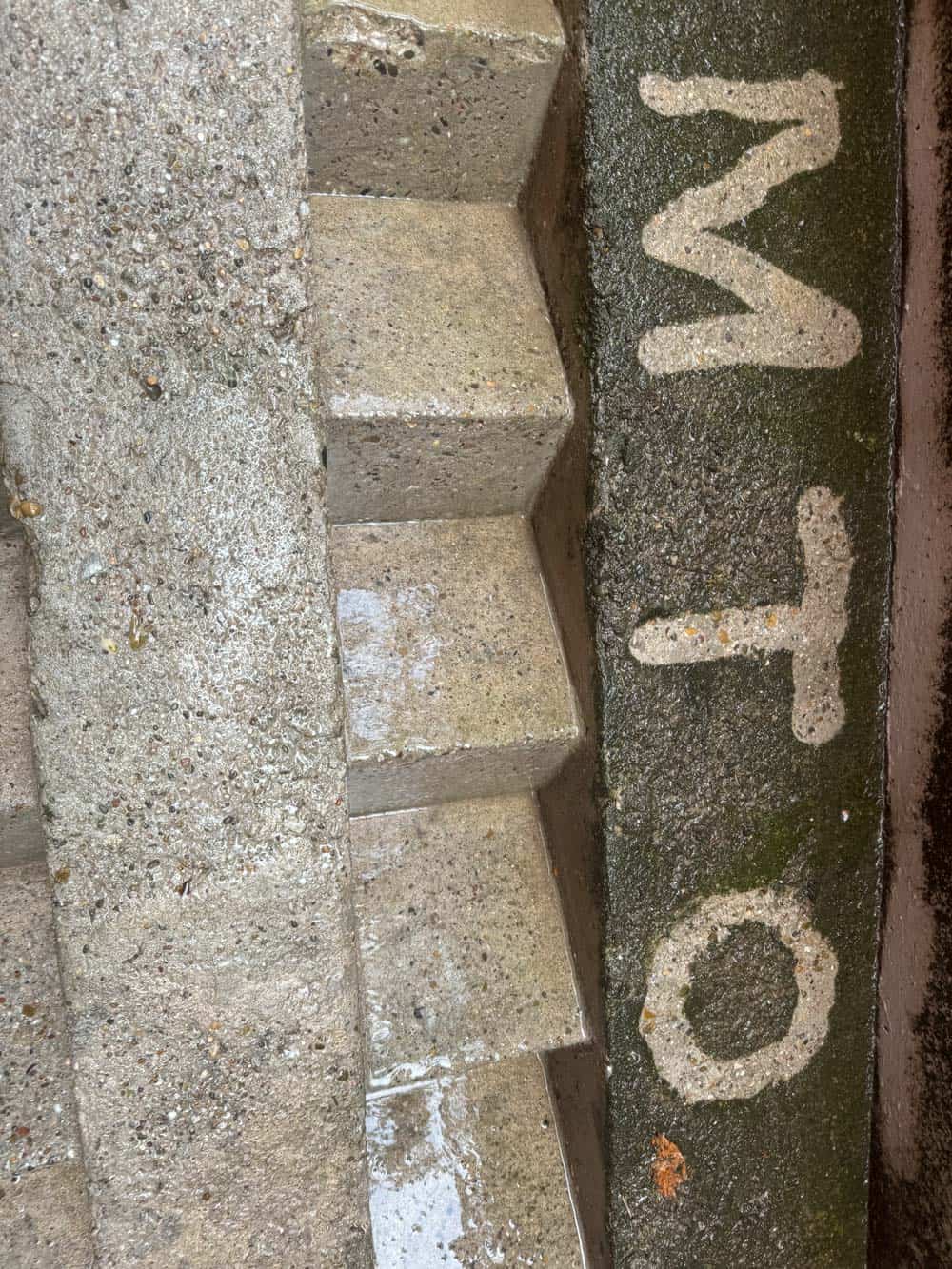 Nasse Betontreppe mit grünem Moos, darauf Buchstaben "MTO" gemalt.