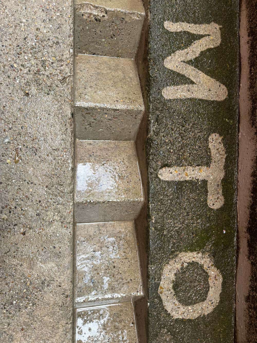 Nasse Treppenstufen, mit Moos bedeckt, Buchstaben "MTO" erkennbar, graue und grüne Töne.